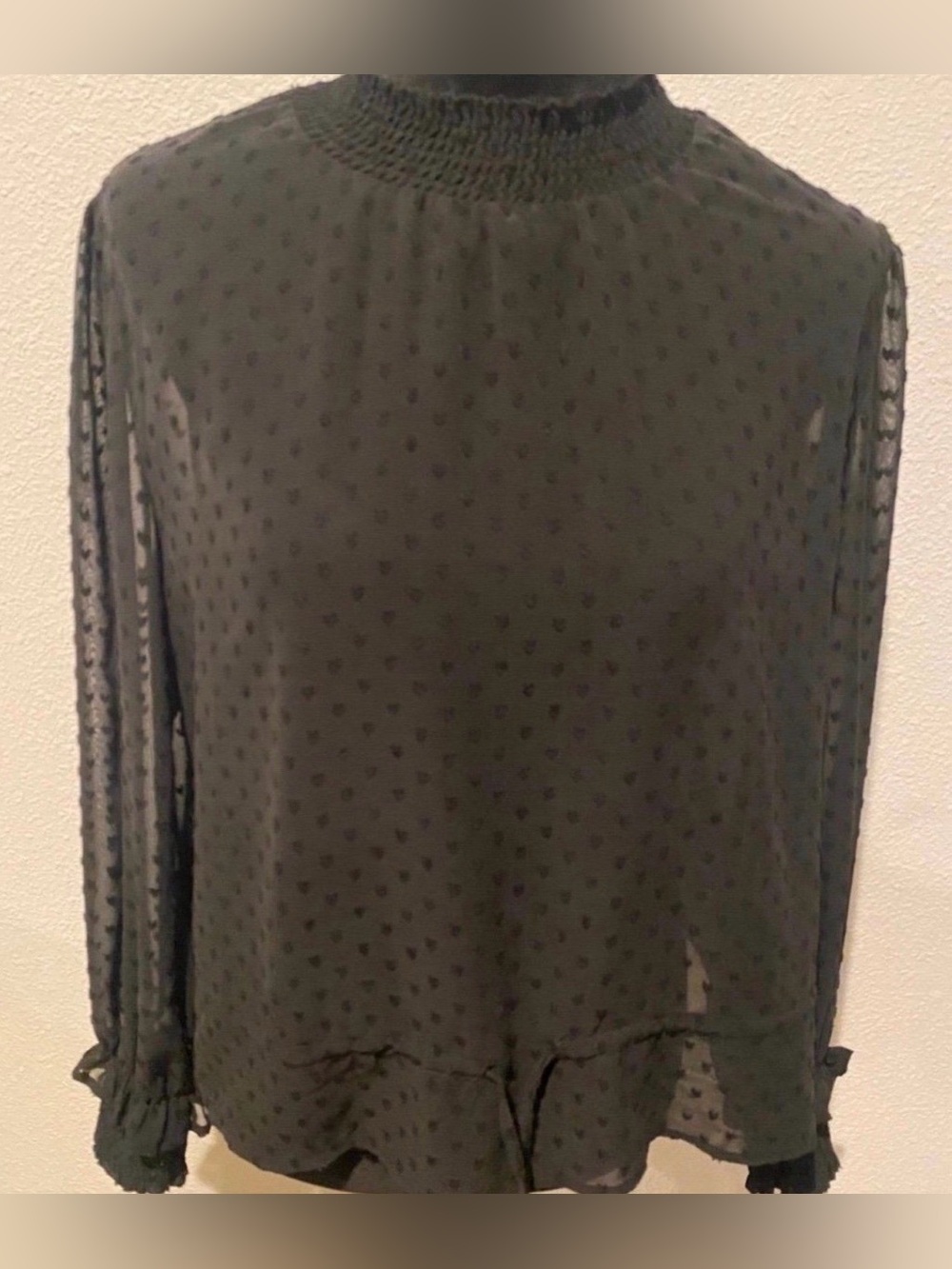 Women’s H&M Long Sleeve Black Sheer Swiss Dot Long-Sleeve Top (Size 10)